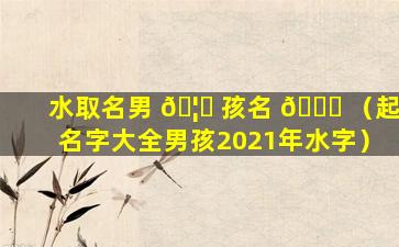 水取名男 🦍 孩名 🐕 （起名字大全男孩2021年水字）